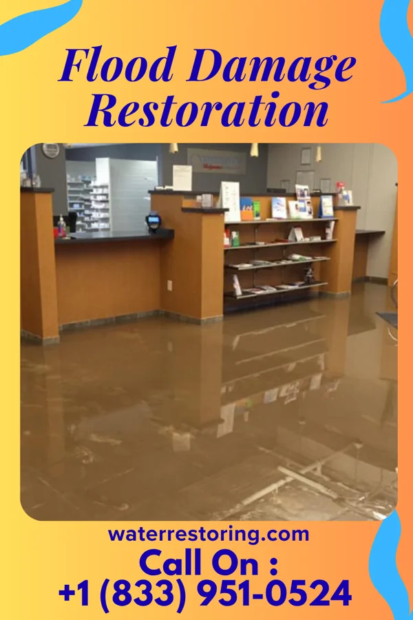 Flood Damage Restoration in Pesotum, IL