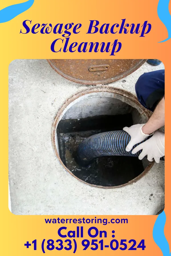 Sewage Backup Cleanup in Pesotum, IL